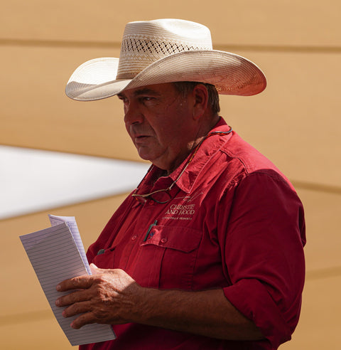 DUBBO PRIME FAT CATTLE SALE