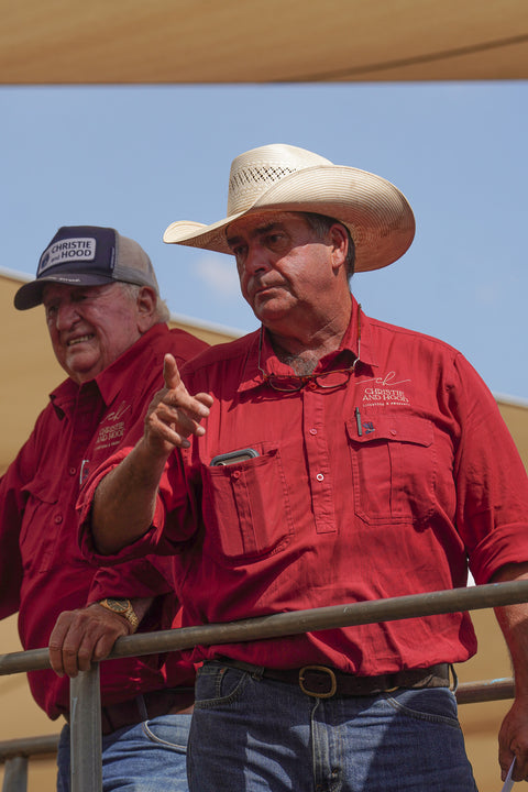 DUBBO PRIME FAT CATTLE SALE